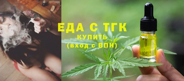 молекула духа Вяземский