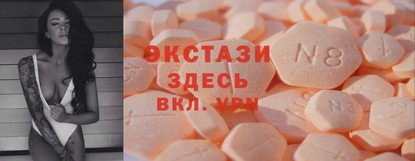 молекула духа Вяземский