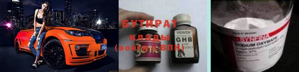 молекула духа Вяземский