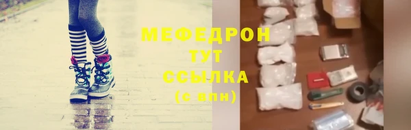 молекула духа Вяземский