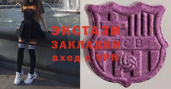 индика Великий Новгород