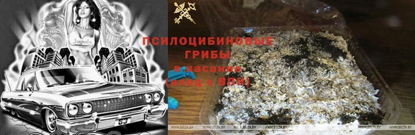 индика Великий Новгород