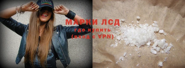 молекула духа Вяземский