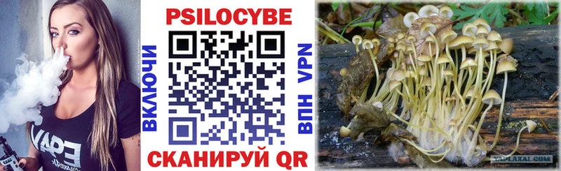 Галлюциногенные грибы ЛСД Губкинский