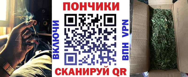 Бошки марихуана план  Губкинский 